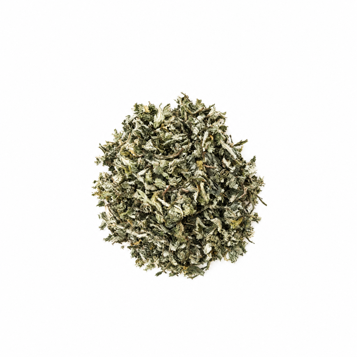 Early Spring Mugwort Tea