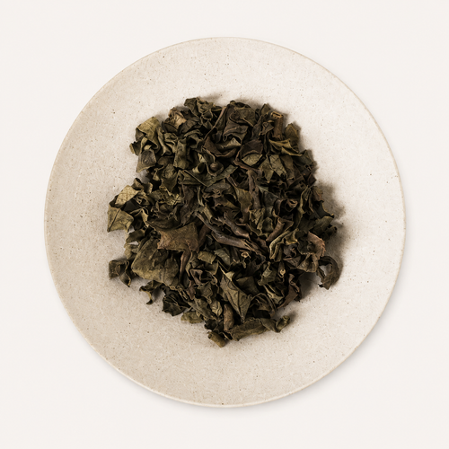 Early Spring Mugwort Tea